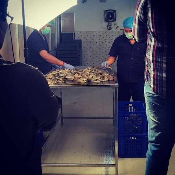 Fresh Seafood on the Beach_1